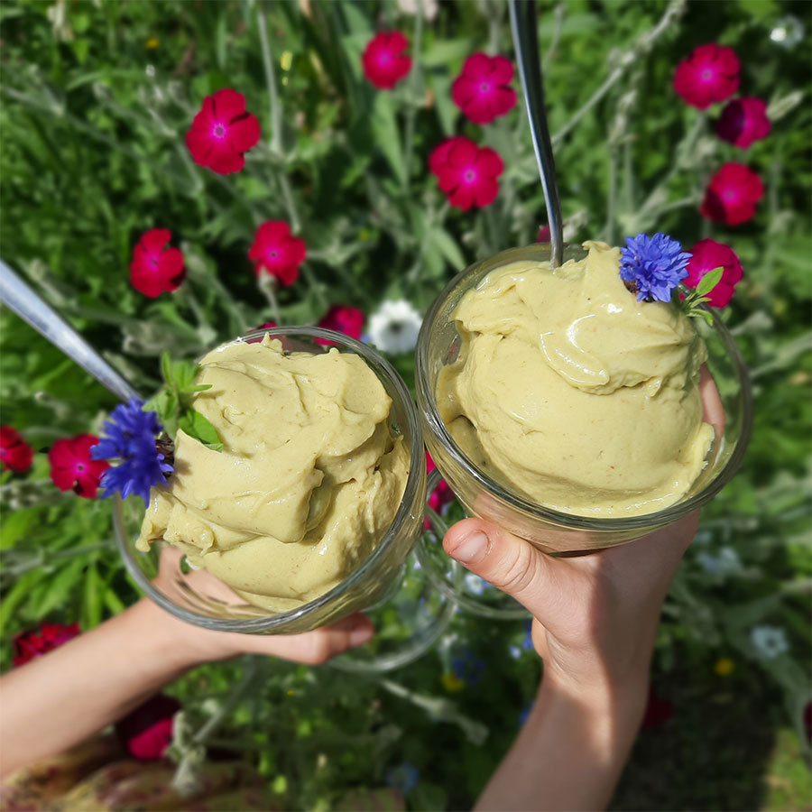 Avokadov bananin vanilijev sladoled