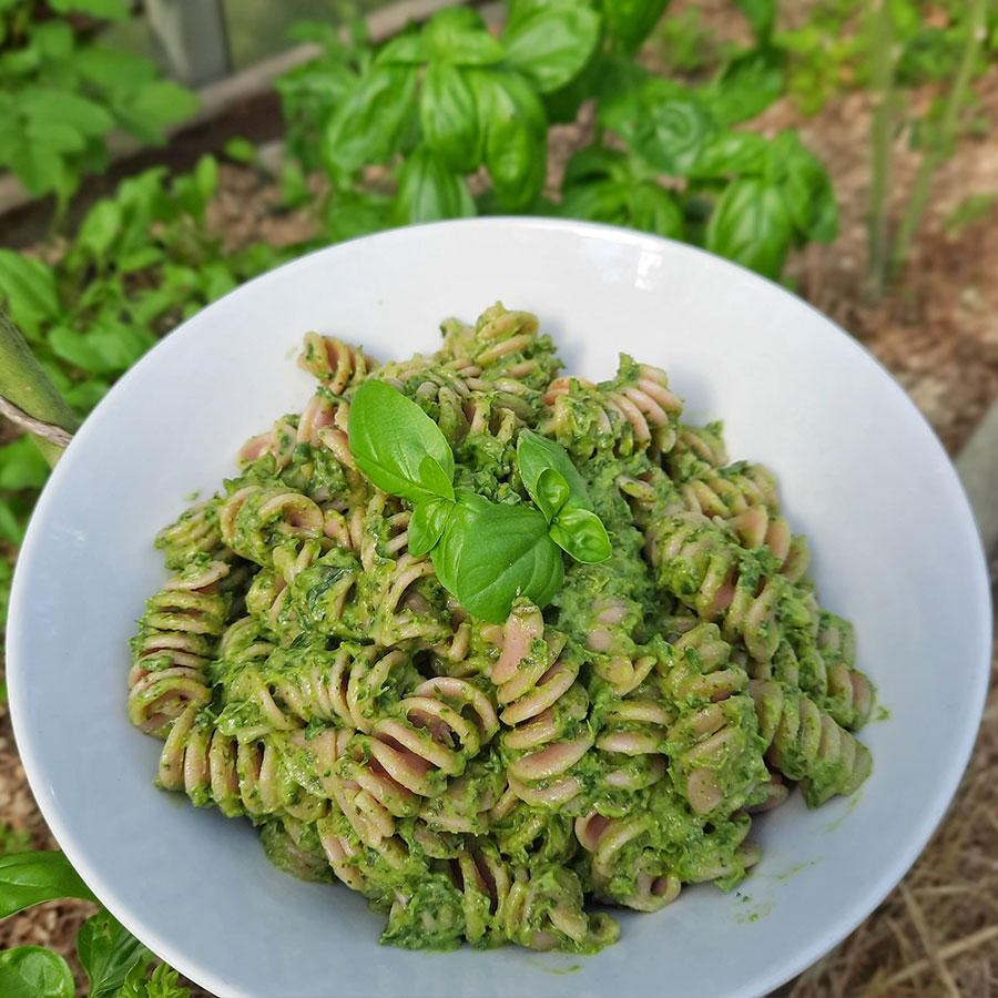 avokado pesto